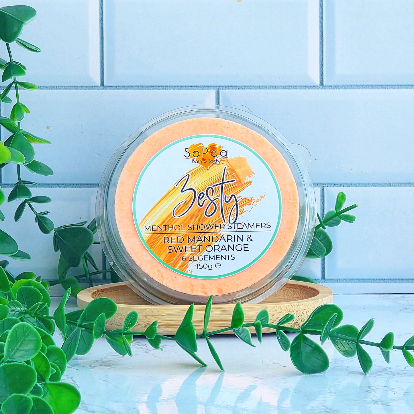 Zesty | Red Mandarin & Sweet Orange Menthol | 6 Segment Shower Steamers