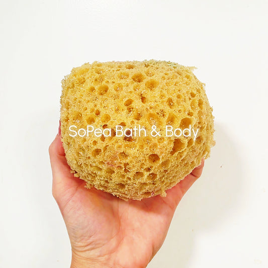 LARGE Bath or Shower Sponge